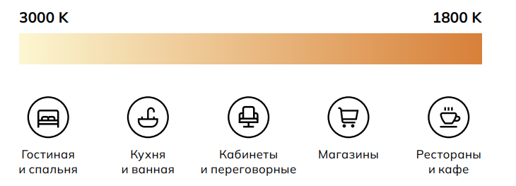 изображение_2025-08-06_115000896.png