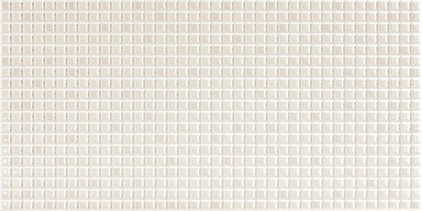 SENSES-NACAR-25X50.jpg