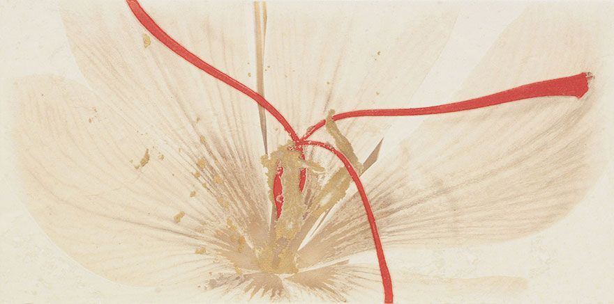pasta_blanca$25x50$studio$25x50$g054$decor_studio_ivory_flor.jpg