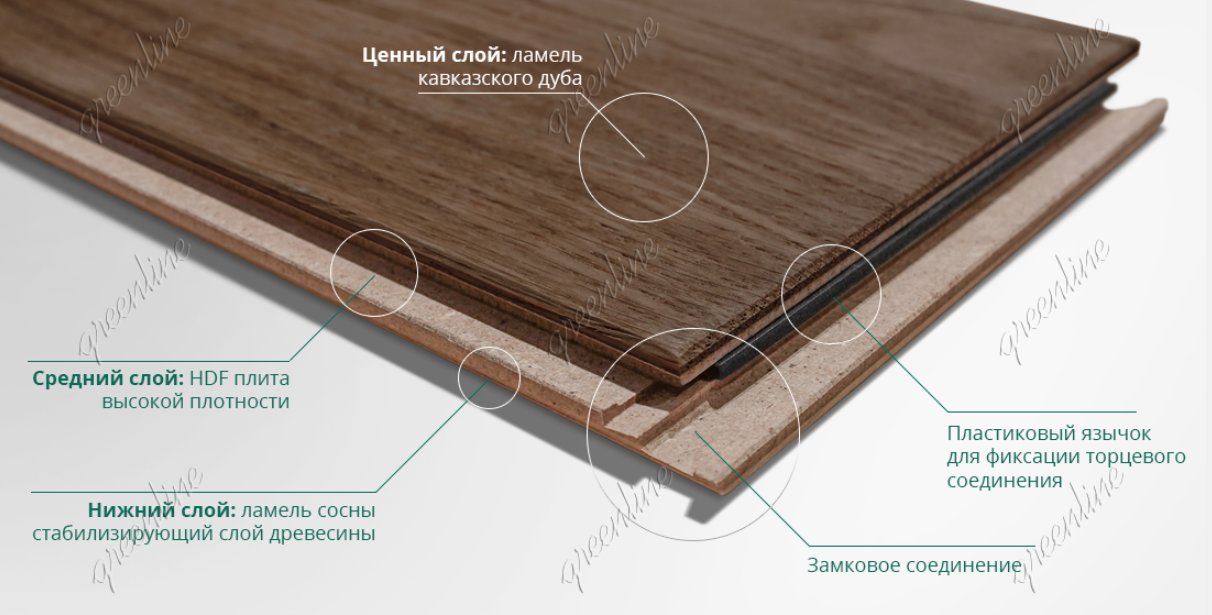 изображение_2022-05-19_165257036.png