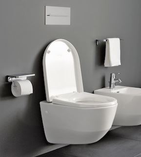 Laufen Pro Rimles 2.JPG